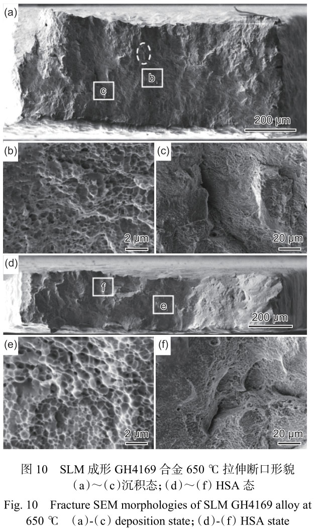 1716285287952790.jpg 未標題-9.jpg