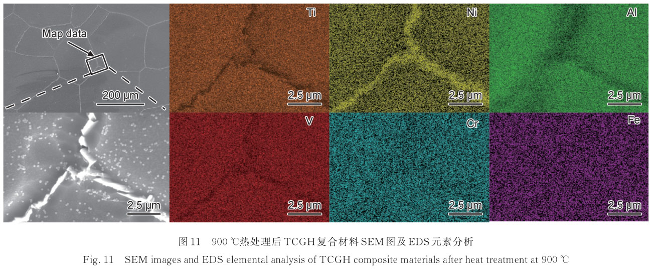 1720841353939657.jpg t11.jpg